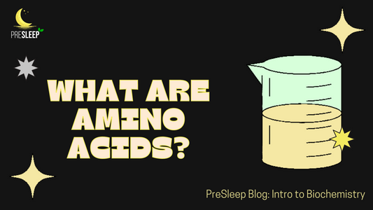 What are Amino Acids?